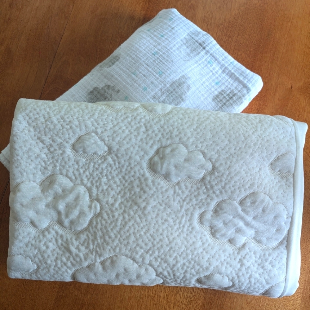Waterproof Crib Mattress Cover and Aden + Anais Crib Sheet
